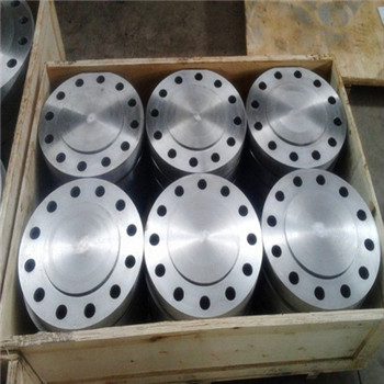 904L, 2205, 2507, 309S, 310S, 310si, 316ti, 317L, 347, 347H Flanges Forged 